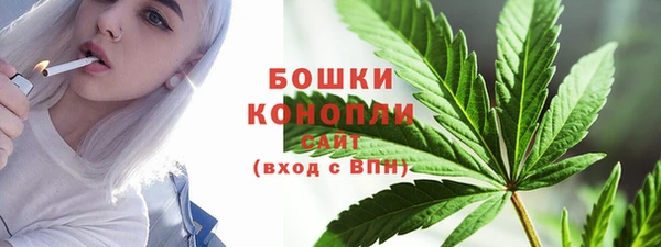 ECSTASY Каменка