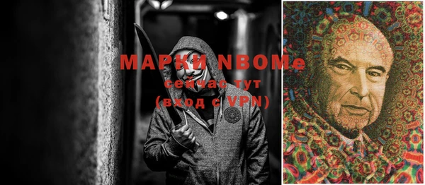 ECSTASY Каменка