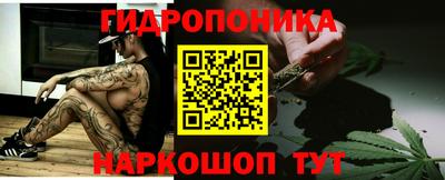 a pvp Будённовск