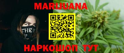 сатива Бузулук