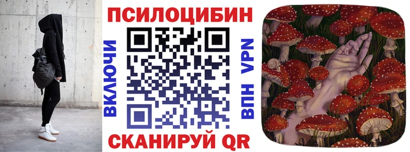 omg зеркало  Камень-на-Оби  Псилоцибиновые грибы ЛСД 