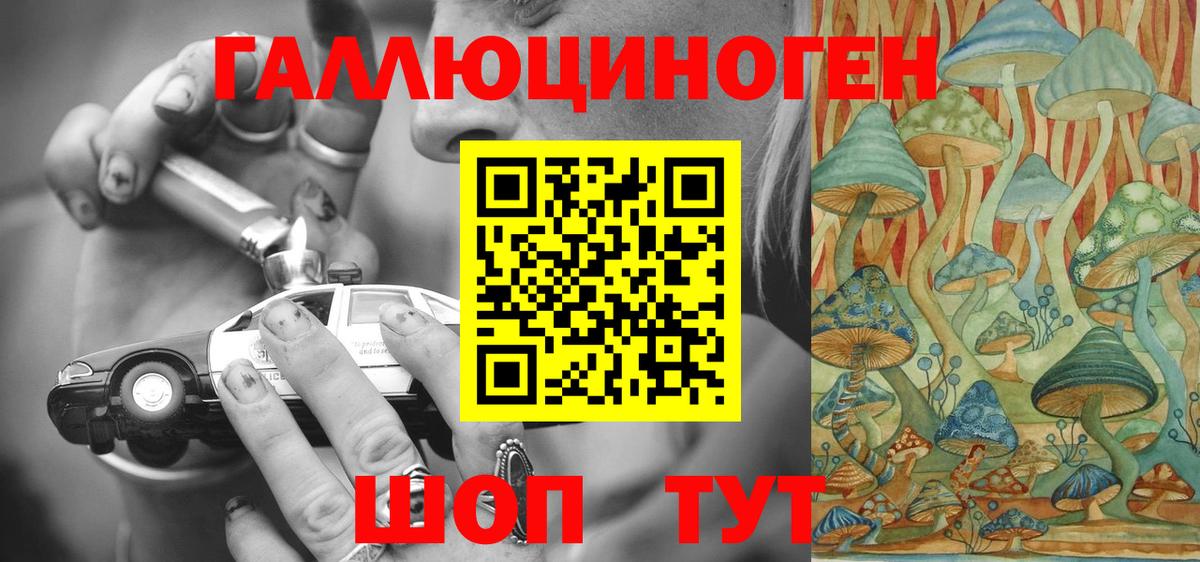 Галлюциногенные грибы мухоморы  Галлюциногенные грибы Psilocybine cubensis  Камень-на-Оби 